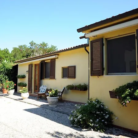 Palmaiola Garden, Pool And Sea View Villa